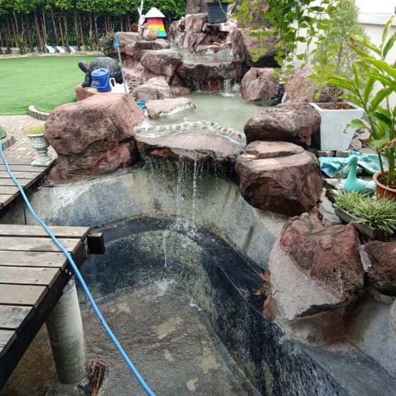 รับแก้ระบบกรองในบ่อปลาคาร์ฟ,ซ่อมบ่อปลาคาร์ฟรั่ว,บ่อร้าว,รับทำบ่อปลาคาร์ฟ,ทำน้ำพุ,น้ำล้น รูปที่ 12