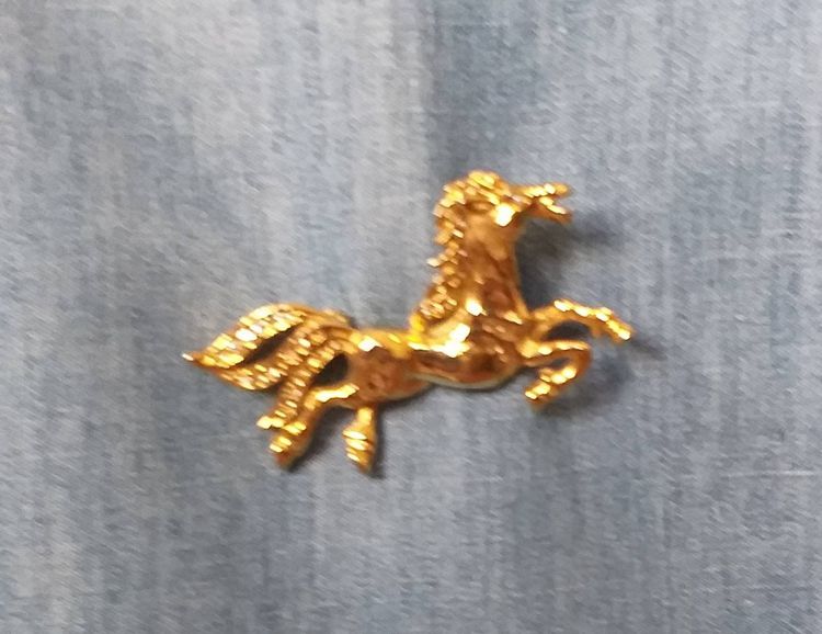 เข็มกลัดทองตัวม้า รอบ ๆๆ ประดับด้วยเพชร เม็ดเล็ก ๆๆ  รูปที่ 14