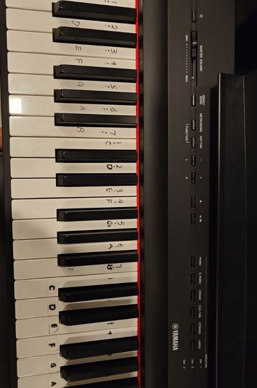 ขาย Piano ไฟฟ้า Yamaha P-125  88 Keys Digital Piano (สีดำ) รูปที่ 6