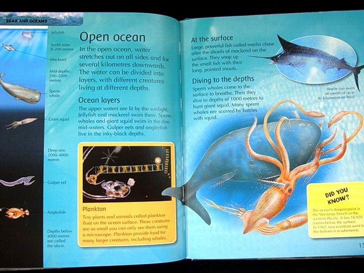 The Children's Encyclopedia of Planet Earth หนังสือ สารานุกรมโลก สำหรับคุณหนูๆ รูปที่ 18