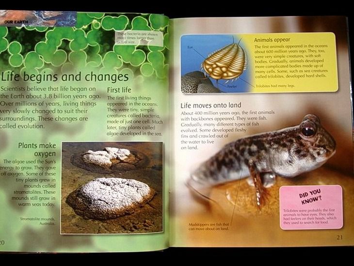 The Children's Encyclopedia of Planet Earth หนังสือ สารานุกรมโลก สำหรับคุณหนูๆ รูปที่ 8