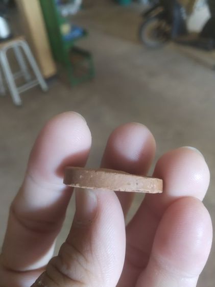 เครื่องรางของขลังเป็นเนื้อดินผสมผง(จิ้งจกคู่หลังนกสาริกาคู่(เนื้อออกส้มไม่ทราบที่มา))เครื่องรางของมงคล รูปที่ 11