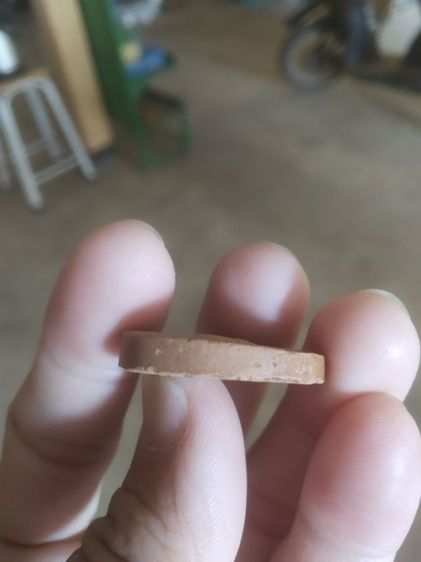 เครื่องรางของขลังเป็นเนื้อดินผสมผง(จิ้งจกคู่หลังนกสาริกาคู่(เนื้อออกส้มไม่ทราบที่มา))เครื่องรางของมงคล รูปที่ 12