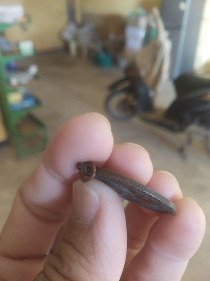 พระเหรียญเนื้อทองแดงรูปทรงไข่(พระหลวงพ่อลุน(เกษก้อน)หลังนางกวักวัดป่าเจริญ(รุ่นที่หนึ่ง)เมตตาโชคลาภค้าขาย(จังหวัดเลย))ฉลองกรุง200ปี(2525) รูปที่ 14