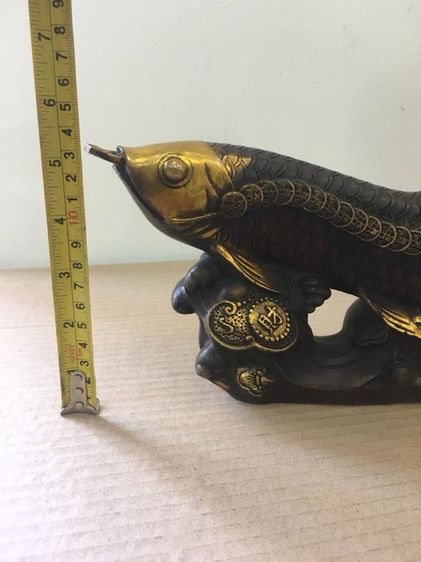 ปลามังกร ทองเหลืองA2 รูปที่ 4