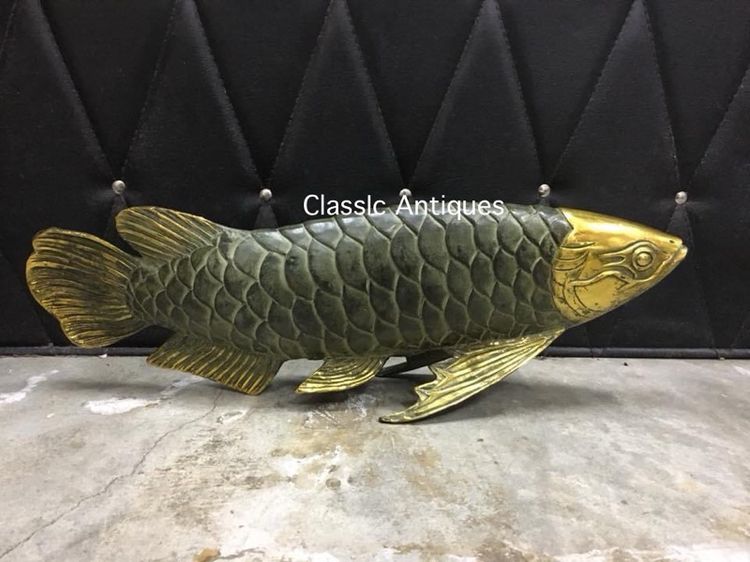 ปลามังกร ทองเหลือง ตัวใหญ่ รูปที่ 2