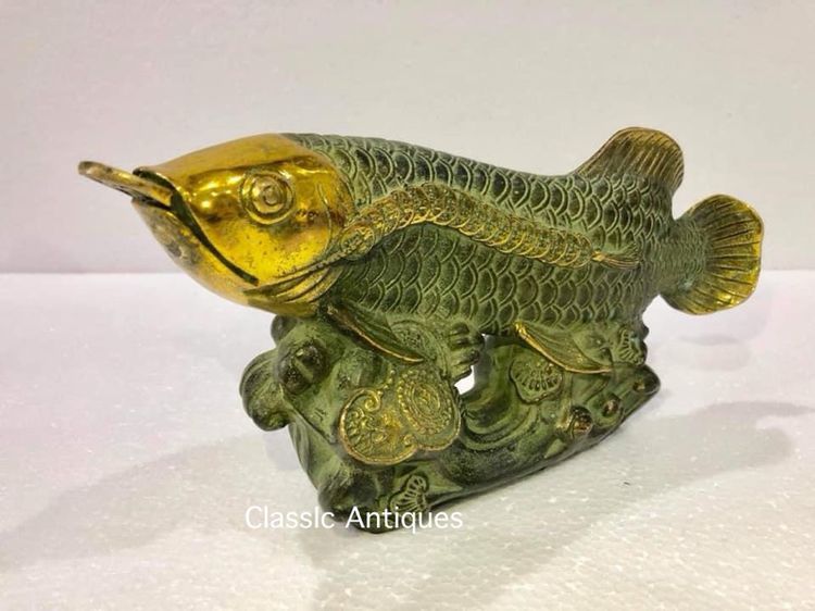 ปลามังกร ทองเหลืองA3 รูปที่ 2