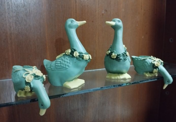 ตกแต่งบ้าน เป็ดงานยุโรป รูปที่ 7