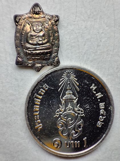 เหรียญพญาเต่าเรือนจิ๋ว รุ่น ขายดี มีกำไล หลวงปู่หลิว วัดไร่แตงทอง นครปฐม ปี 2551 รูปที่ 4