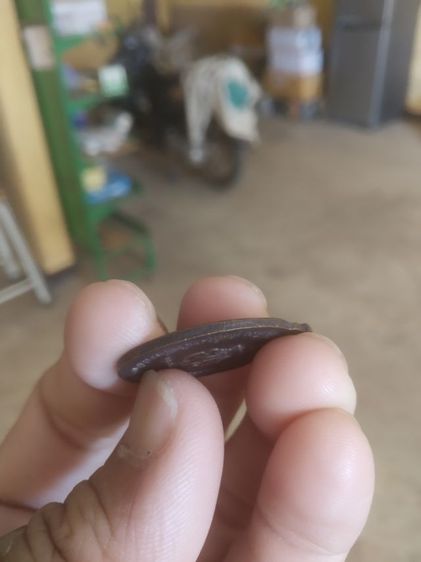 พระเหรียญเนื้อทองแดงรูปทรงไข่(พระหลวงพ่อเณร(ญาณวินโย)วัดทุ่งเศรษฐีเป็นเหรียญเสือคู่(จังหวัดกรุงเทพมหานคร))พระเครื่องรางของมงคล2535 รูปที่ 12