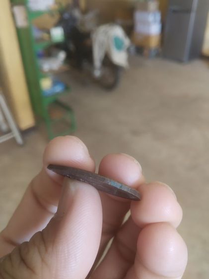 พระเหรียญเนื้อทองแดงรูปทรงไข่(พระหลวงพ่อเณร(ญาณวินโย)วัดทุ่งเศรษฐีเป็นเหรียญเสือคู่(จังหวัดกรุงเทพมหานคร))พระเครื่องรางของมงคล2535 รูปที่ 13