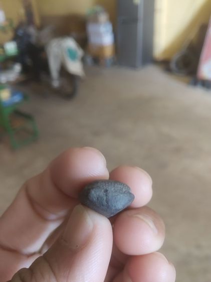 พระเนื้อดินผสมผงสีดำ(พระปางลีลากำแพงทุ่งเศรษฐีหรือพระปางลีลากำแพงเม็ดขนุน(เนื้อสีดำไม่ทราบที่มาไม่ทราบพระเกจิที่สร้าง))พระเครื่องรางของมงคล รูปที่ 17