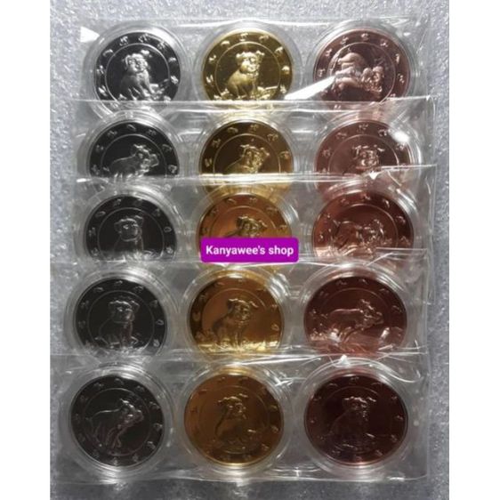 ชุดเหรียญปฎิทิน นักษัตร ปีกุน พ.ศ. 2562,2019 รูปที่ 4