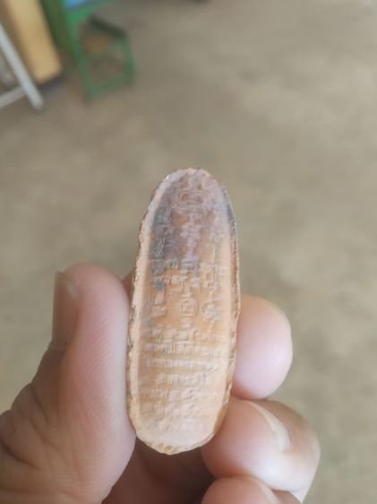 พระเนื้อดินเผา(พระปางลีลากำแพงทุ่งเศรษฐีเนื้อดินเผาพระหลวงพ่อเกษมวัดม่วง(จังหวัดอ่างทอง)เสาร์ห้า)พระเครื่องรางของมงคล2539 รูปที่ 7