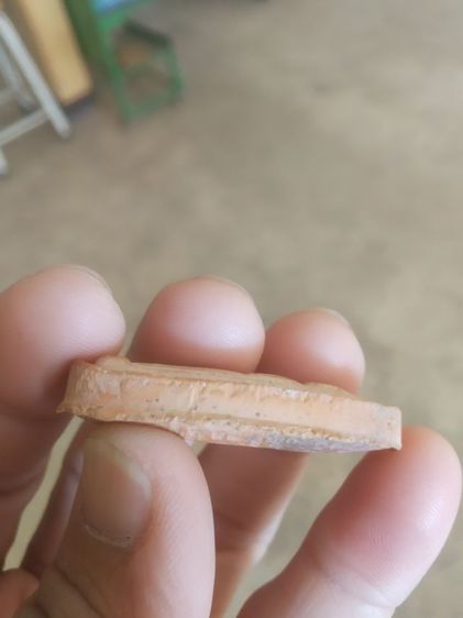 พระเนื้อดินเผา(พระปางลีลากำแพงทุ่งเศรษฐีเนื้อดินเผาพระหลวงพ่อเกษมวัดม่วง(จังหวัดอ่างทอง)เสาร์ห้า)พระเครื่องรางของมงคล2539 รูปที่ 12