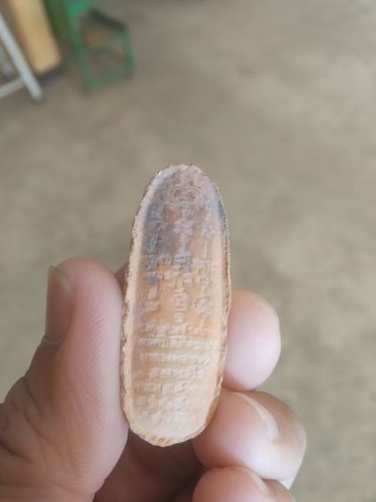 พระเนื้อดินเผา(พระปางลีลากำแพงทุ่งเศรษฐีเนื้อดินเผาพระหลวงพ่อเกษมวัดม่วง(จังหวัดอ่างทอง)เสาร์ห้า)พระเครื่องรางของมงคล2539 รูปที่ 10