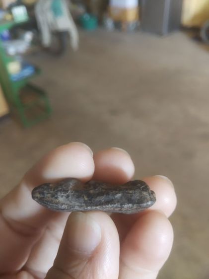 พระเนื้อผงผสมมวลสาร(พระพิมพ์พระนางพญา(ดิน,ว่าน,ผงและผงใบลาน)(ไม่ทราบพระเกจิที่สร้าง))พระบ้านพระเครื่องรางของมงคล รูปที่ 16