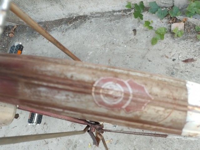 Pheasant เฟสสัน จักรยานแม่บ้าน รูปที่ 12