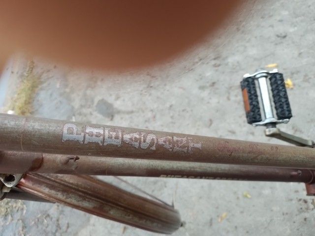 Pheasant เฟสสัน จักรยานแม่บ้าน รูปที่ 10