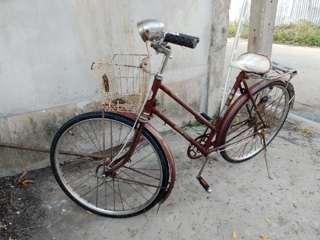 Pheasant เฟสสัน จักรยานแม่บ้าน รูปที่ 3