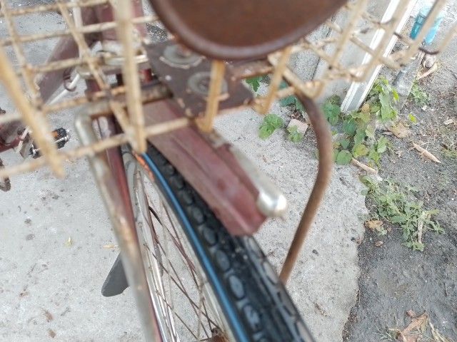 Pheasant เฟสสัน จักรยานแม่บ้าน รูปที่ 7