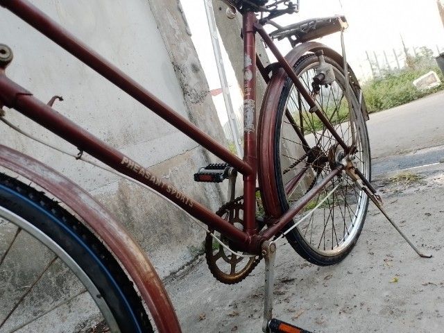 Pheasant เฟสสัน จักรยานแม่บ้าน รูปที่ 6