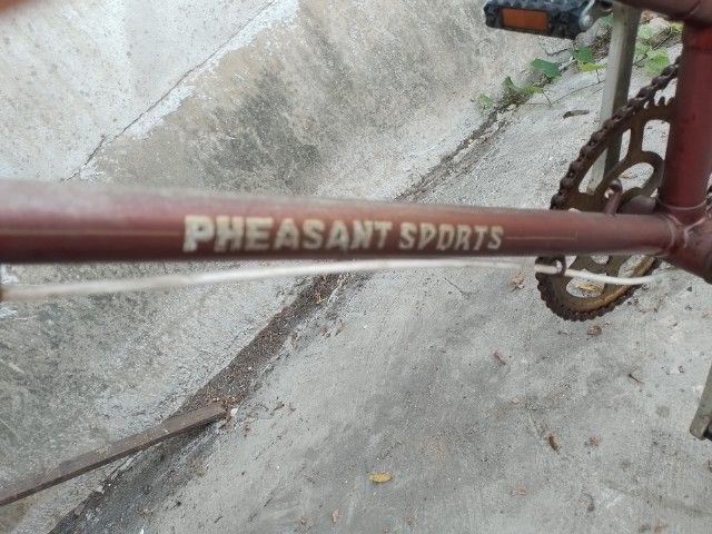 Pheasant เฟสสัน จักรยานแม่บ้าน รูปที่ 11