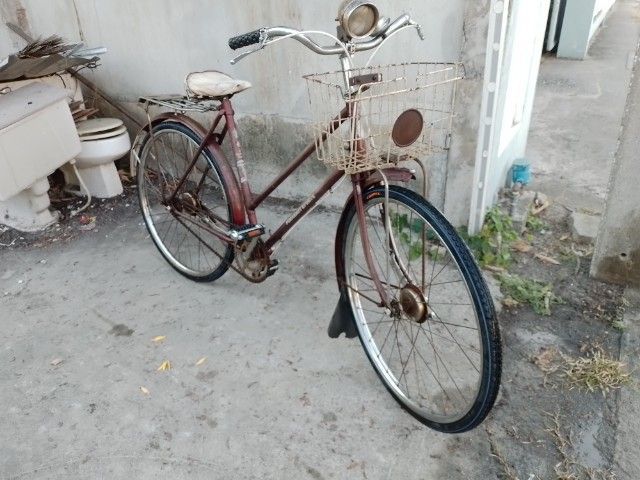 Pheasant เฟสสัน จักรยานแม่บ้าน รูปที่ 2