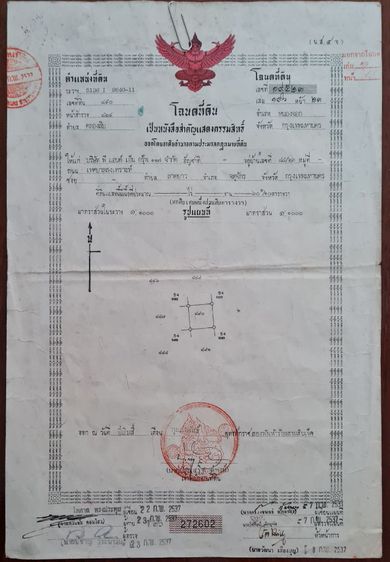 ทีดิน รูปที่ 3