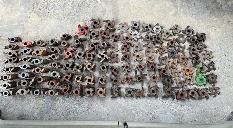 ขาย ดอกเร้าเตอร์ ดอกตีบัวไม้ 300กว่าตัว รูปที่ 5