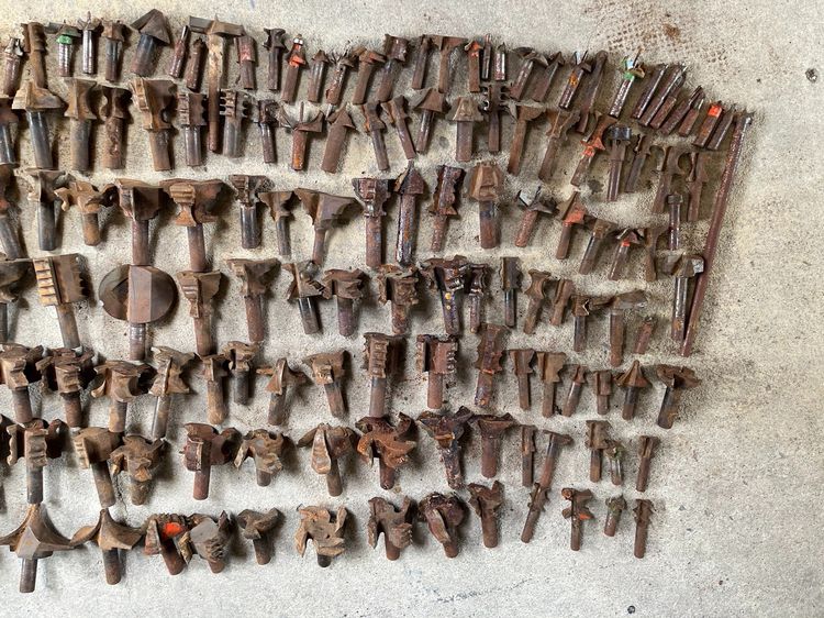 ขาย ดอกเร้าเตอร์ ดอกตีบัวไม้ 300กว่าตัว รูปที่ 9