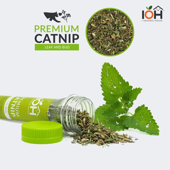 IOH Premium CATNIP - LEAF AND BUD Naturals แคทนิป แคทมินต์ กัญชาแมว สมุนไพรสำหรับแมว รูปที่ 7