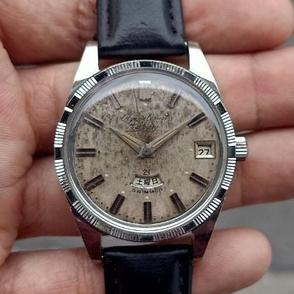 Orient Olympia Weekly Swimmer