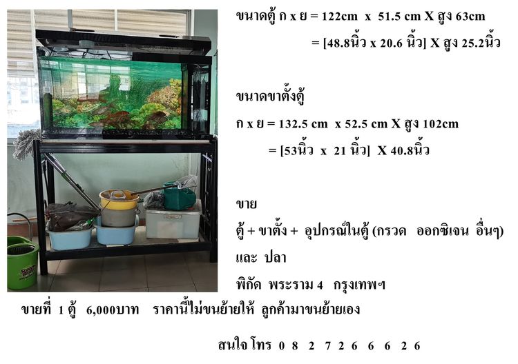 ขายตู้ปลา 2 ตู้ (มาซื้อตู้เดียวก้อได้) รูปที่ 4