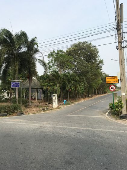 ที่ดินธัญบุรี คลอง7 รูปที่ 4