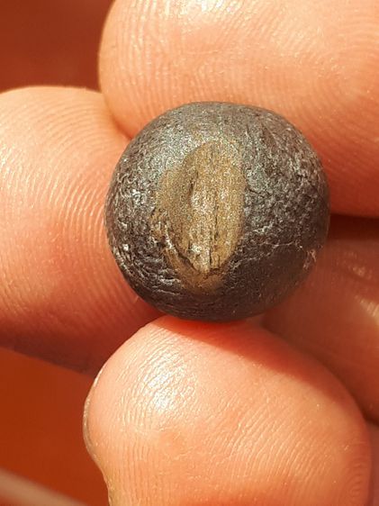 ลูกอม หลวงปู่บุญ วัดกลางบางแก้ว เนื้อผงยาวาสนา ปั้มโค็ด มีความหนึบนุ่ม มีมวลสาร ผ่านกาลเวลา แห้ง ยุบ ย่น หดตัว งอกเกิน ปริแยก และมีความเป็นธ รูปที่ 3