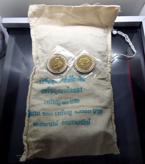 เหรียญไทย เหรียญยกถุง 100 เหรียญ 10 บาท สองสี ที่ระลึกการพัฒนาอย่างยั่งยืนเพื่ออนาคตมั่นคง ปี 2538 ไม่ผ่านใช้
