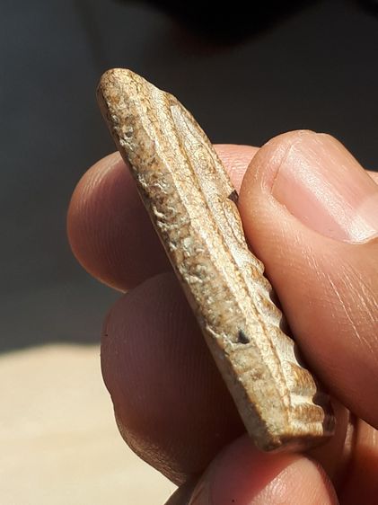 พระสมเด็จ วัดระฆัง รุ่นแรก เกศทะลุซุ้ม หลังสวย พระบาง เนื้อผงพุทธคุณ มวลสารครบ จัด ละเอียด ผิวมัน ฉ่ำ หลังเรียบ รูปทรงสวย งดงาม ขอบไม่คม แห้ รูปที่ 5