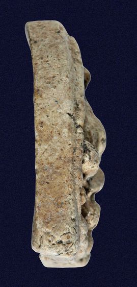 หายาก🌟พระสังกัจจายน์ กรุวัดเงินคลองเตย พิมพ์ไม่มีหู มีมวลสาร เก่า รูปที่ 8