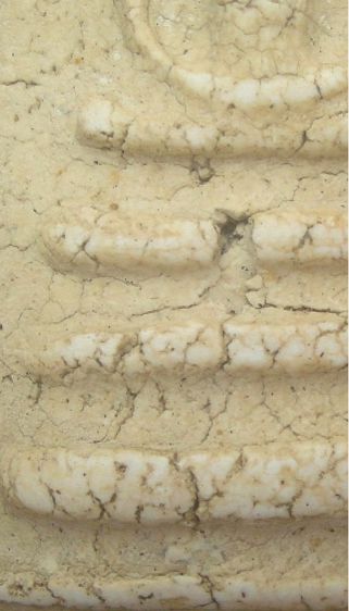 พระสมเด็จพิมพ์ใหญ่ หลวงปู่นาค ปี2495 วัดระฆัง รูปที่ 3