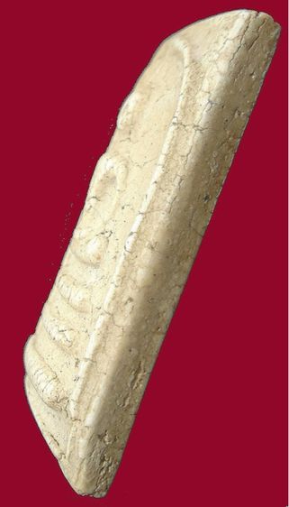 พระสมเด็จพิมพ์ใหญ่ หลวงปู่นาค ปี2495 วัดระฆัง รูปที่ 7