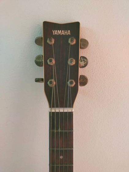 โปร่งyamaha fg-302d ถูกๆครับ 6900บ. รูปที่ 5