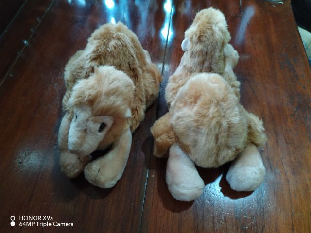 ตุ๊กตา​คู่​หมูวินเท​จ​เกรด​พรีเมี่ยมและแบบอื่นๆ​ขนาด​ 8นิ้ว​ รูปที่ 15