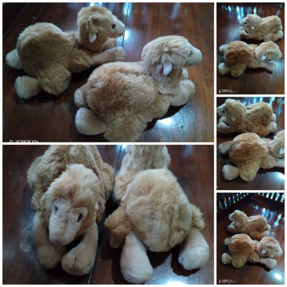 ตุ๊กตา​คู่​หมูวินเท​จ​เกรด​พรีเมี่ยมและแบบอื่นๆ​ขนาด​ 8นิ้ว​ รูปที่ 13