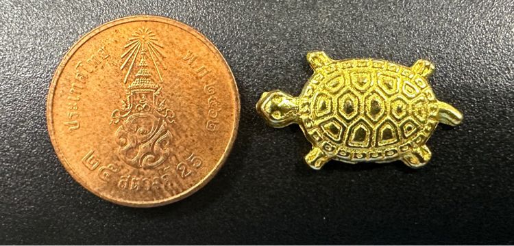 เหรียญพญาเต่าเรือน (ขนาดจิ๋ว เม็ดแตง)  รูปที่ 3