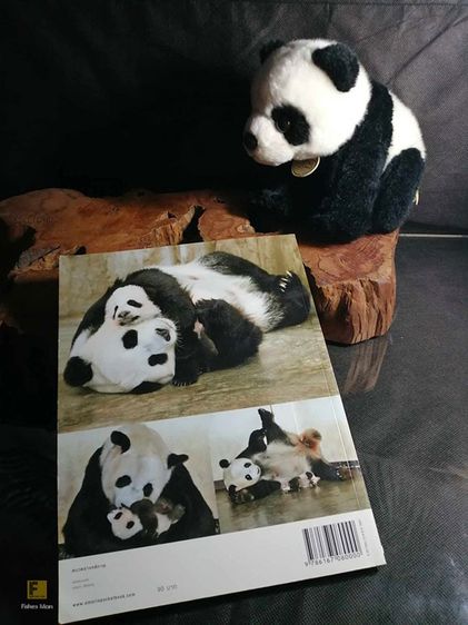 หนังสือ แพนด้าน้อยหลินปิง (องค์การสวนสัตว์ ในพระบรมราชูปถัมภ์) รูปที่ 6