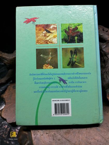 หนังสือ แมลงปอของไทย หนังสือแมลงปอ หนังสือสัตว์ หนังสือธรรมชาติ รูปที่ 8