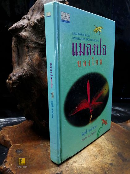 หนังสือ แมลงปอของไทย หนังสือแมลงปอ หนังสือสัตว์ หนังสือธรรมชาติ รูปที่ 2