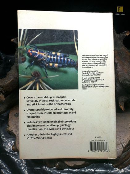 หนังสือ GRASSHOPPERS OF THE WORLD  รวมเรื่องตั๊กแตนทั่วโลก หนังสือตั๊กแตนทั่วโลก หนังสือสัตว์ หนังสือธรรมชาติ รูปที่ 7