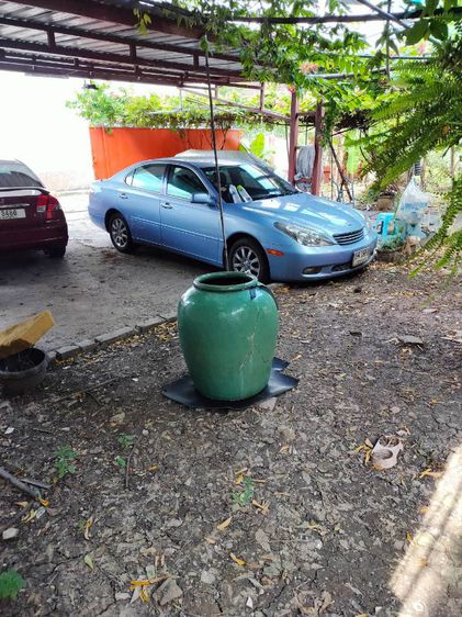 ขายโอ่งโบราณเขียวไข่กาสมบัติประจำตระกูล เพียง 15,900 บาทครับ รูปที่ 5